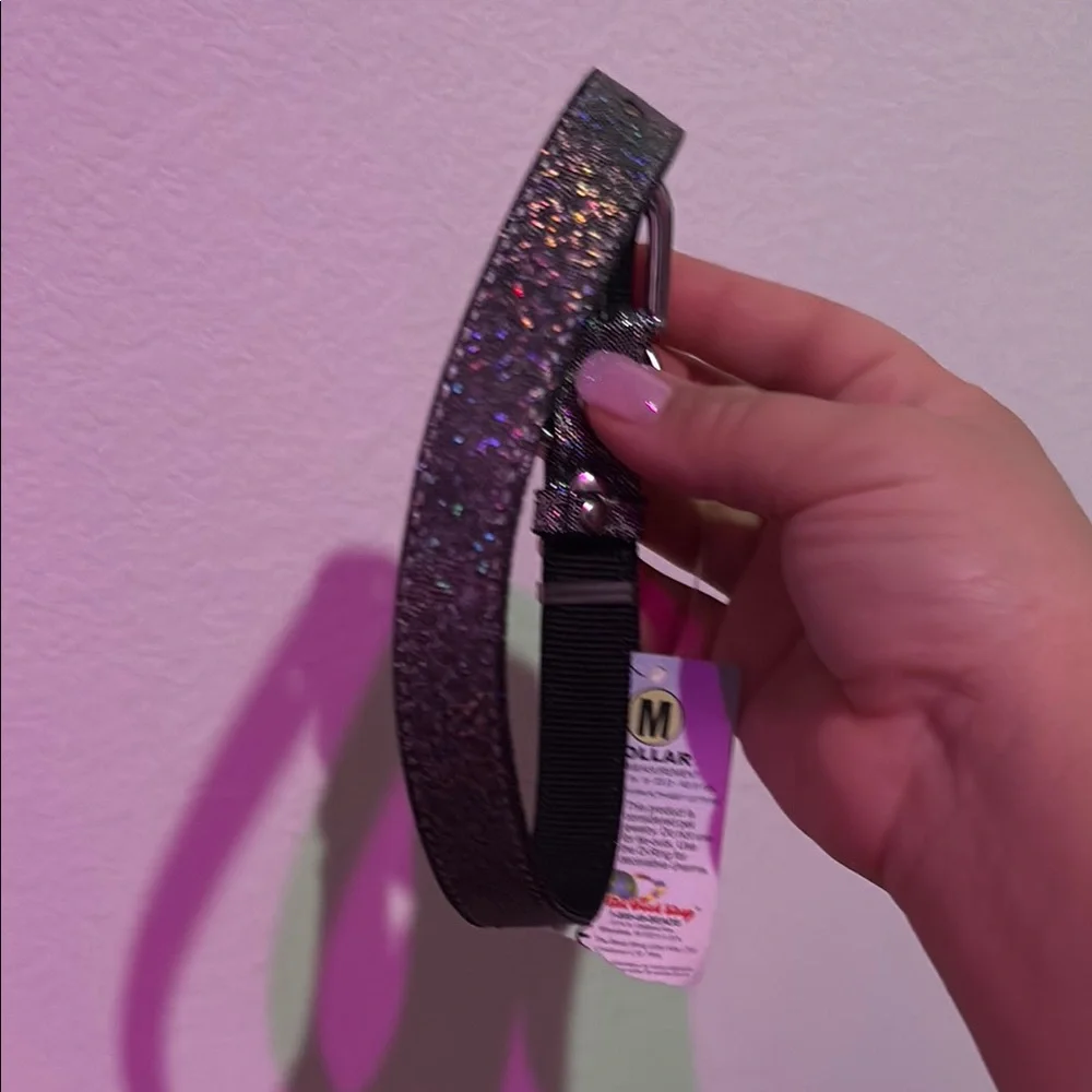 Medium Dog collar